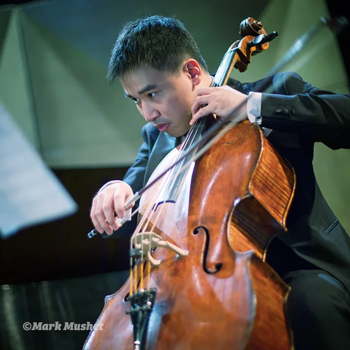 Notos Quartet in concert