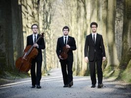 Busch Trio